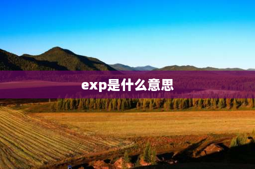 exp是什么意思 EXP是什么意思？