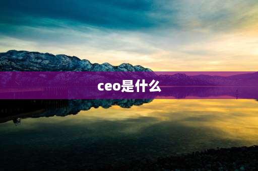 ceo是什么 Ceo中文是什么意思？