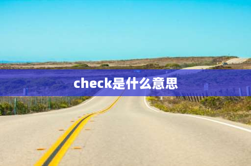 check是什么意思 CHECK什么意思啊？