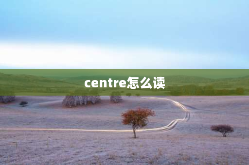 centre怎么读 一个国字框加一面加个有念什么字？