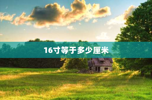 16寸等于多少厘米 20厘米是几寸？