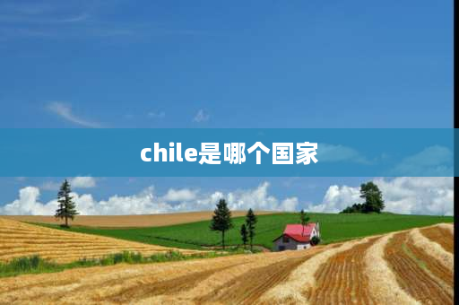 chile是哪个国家 智利国家介绍？