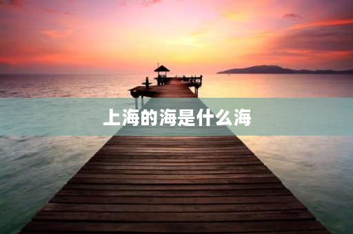 上海的海是什么海 中国上海是沿海城市吗？