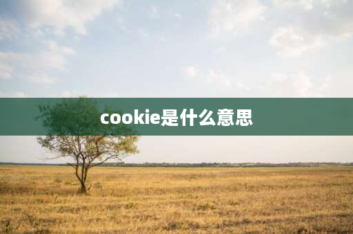 cookie是什么意思 MYCOOKIECAN是什么意思？