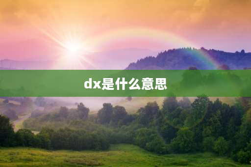 dx是什么意思 dx是什么意思？