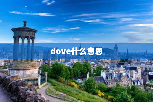 dove什么意思 DOVE(德芙)什么意思？