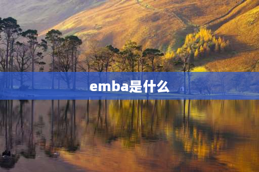 emba是什么 EMBA总裁班是什么意思？