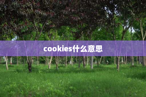 cookies什么意思 cookies和cankies 是一类吗？