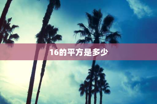 16的平方是多少 16个平方是多少米？