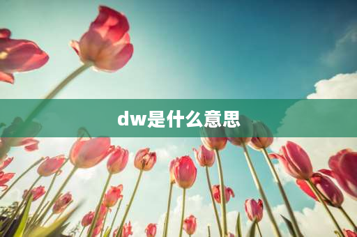 dw是什么意思 dw号什么意思？