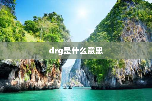 drg是什么意思 drg试点什么意思？