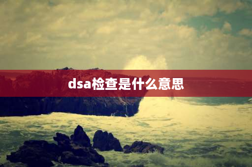 dsa检查是什么意思 dsa检测技术？