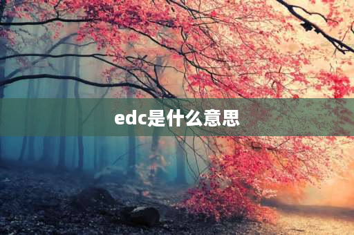 edc是什么意思 车上显示edc是什么意思？