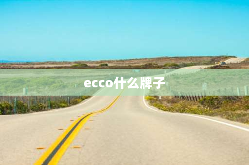 ecco什么牌子 ecco是什么牌子啊？