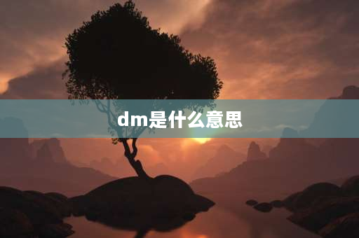 dm是什么意思 dm是什么意思？