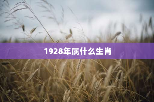 1928年属什么生肖 1928年出生今年多大？