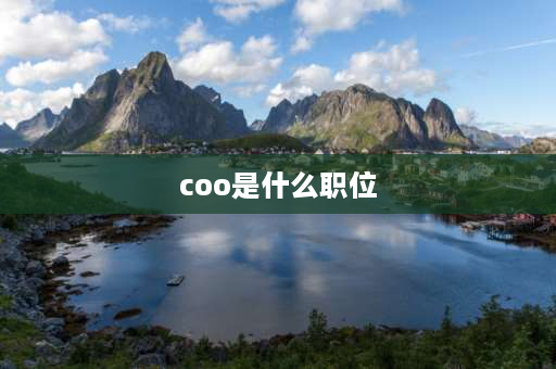 coo是什么职位 COO是什么？