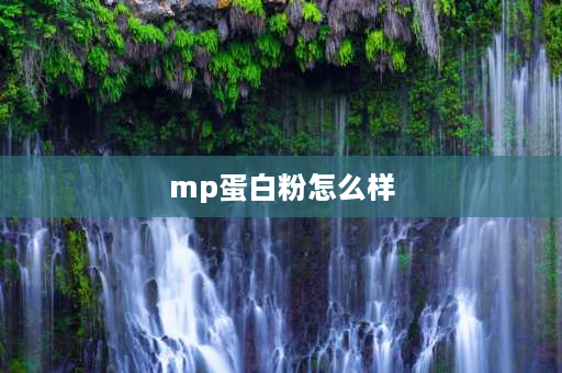 mp蛋白粉怎么样 什么是MPF？它是由什么组成的？其功能是什么？