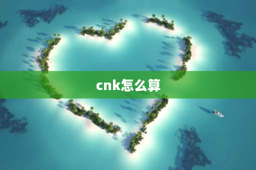 cnk怎么算 cnkpk1-pk是什么的公式？