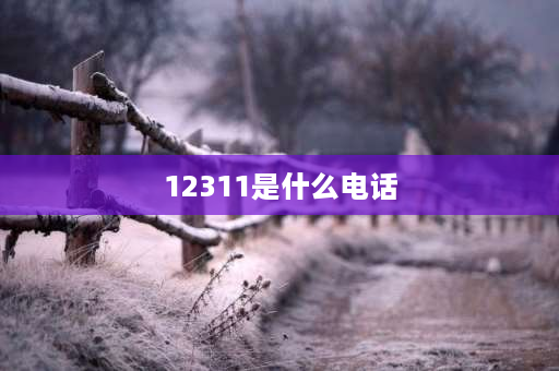 12311是什么电话 12311相当于国内什么牌号？