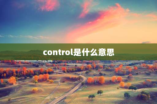 control是什么意思 功放机后面的电源remote是什么意思？