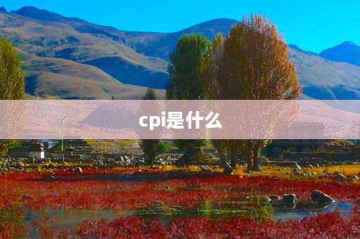 cpi是什么 CPI是什么意思？