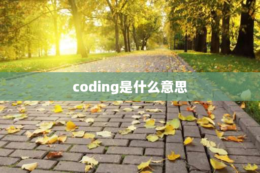 coding是什么意思 AAC是什么意思？