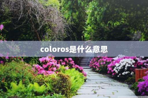 coloros是什么意思 OPPO是什么意思代表什么？