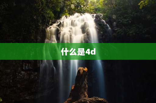 什么是4d 4D是什么概念？