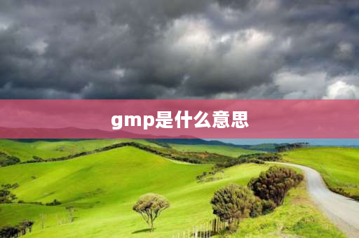 gmp是什么意思 GMP是什么意思？