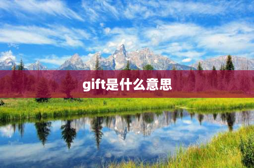 gift是什么意思 gift和present的区别？