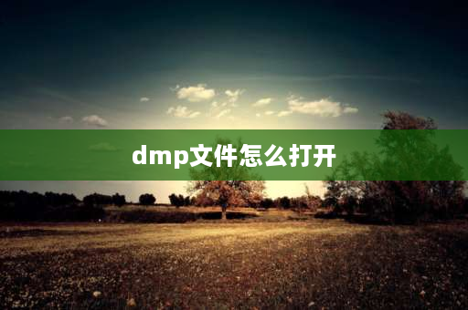 dmp文件怎么打开 ai转存的dmp格式文件怎么打开？