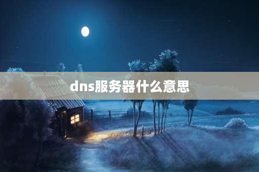 dns服务器什么意思 dns服务器是啥？