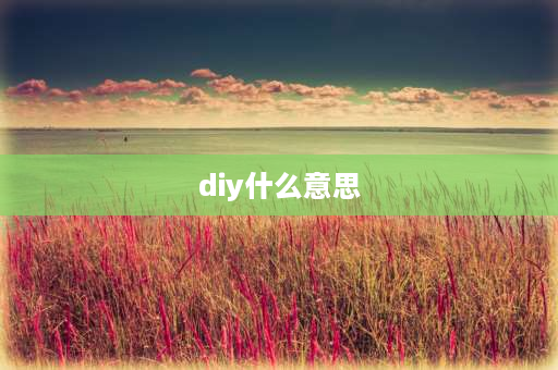 diy什么意思 什么是DIY？是什么意思？