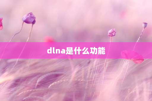 dlna是什么功能 DLNA是什么意思？