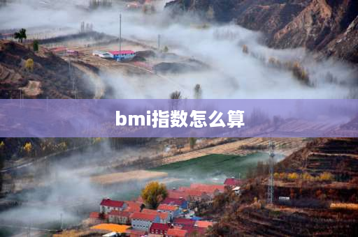 bmi指数怎么算 体测身高体重满分公式？