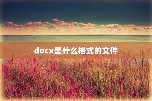 docx是什么格式的文件 docx是什么？