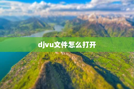 djvu文件怎么打开 djvu是什么格式？