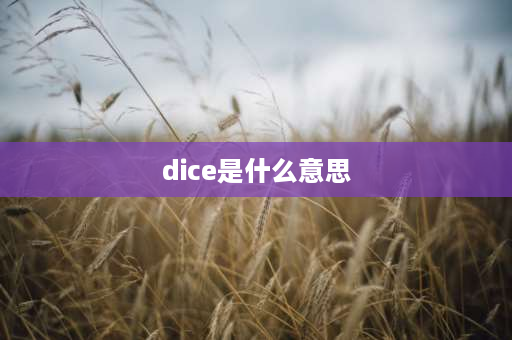 dice是什么意思 什么叫生命骰数？