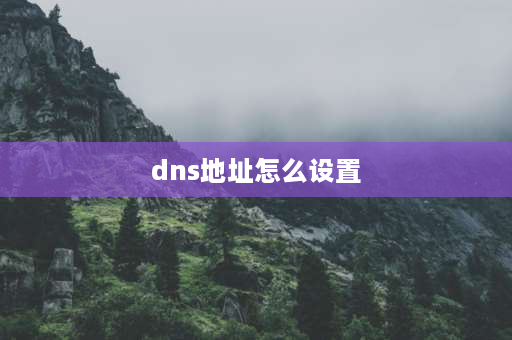 dns地址怎么设置 dns如何设置？