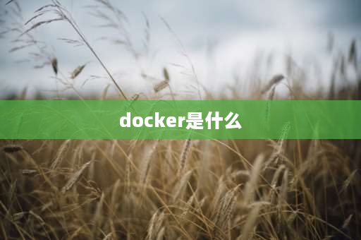 docker是什么 docker是什么车？