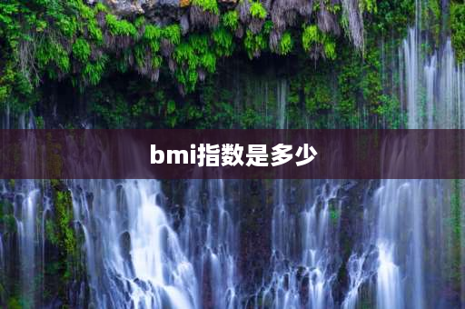 bmi指数是多少 bmi28.1是什么概念？