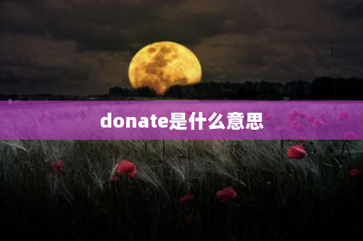 donate是什么意思 donate词源？