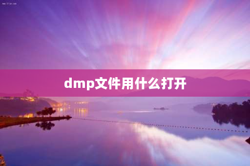 dmp文件用什么打开 win11怎么查看蓝屏报告dmp文件？