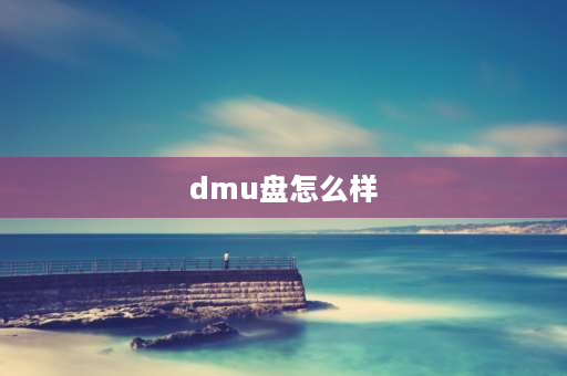 dmu盘怎么样 dm车载U盘咋样？