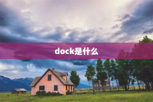 dock是什么 switch的dock是什么？