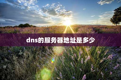 dns的服务器地址是多少 DNS地址是什么？