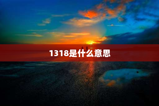 1318是什么意思 电冰箱启动器电压是多少？