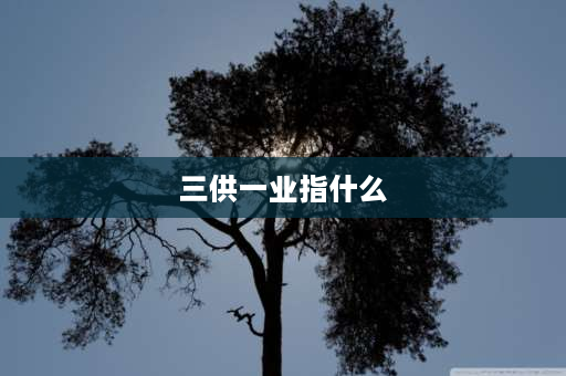 三供一业指什么 三供一业是什么意思？