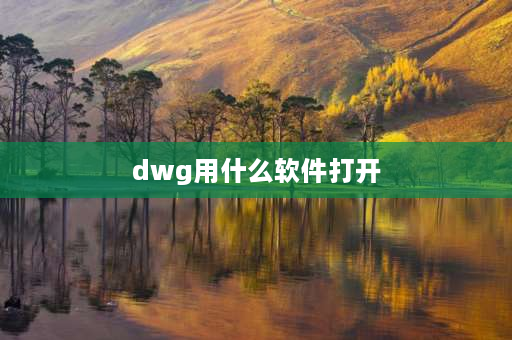 dwg用什么软件打开 dwg的文件需要用什么软件打开？是不是要用cad？